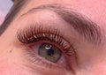 Lash Extensions - Classic Set